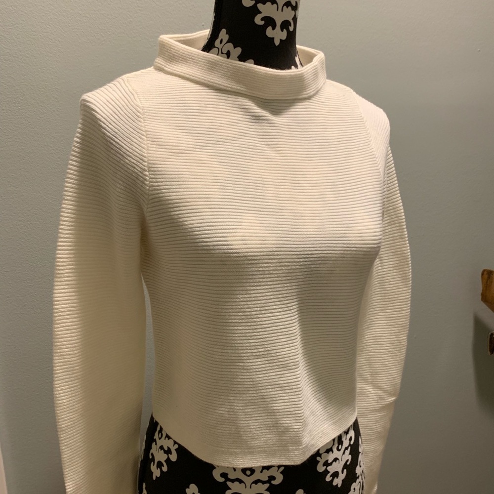 NWOT mock turtleneck from the limited
